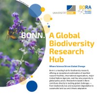 BORA_Flyer_biodiversity_1.pdf