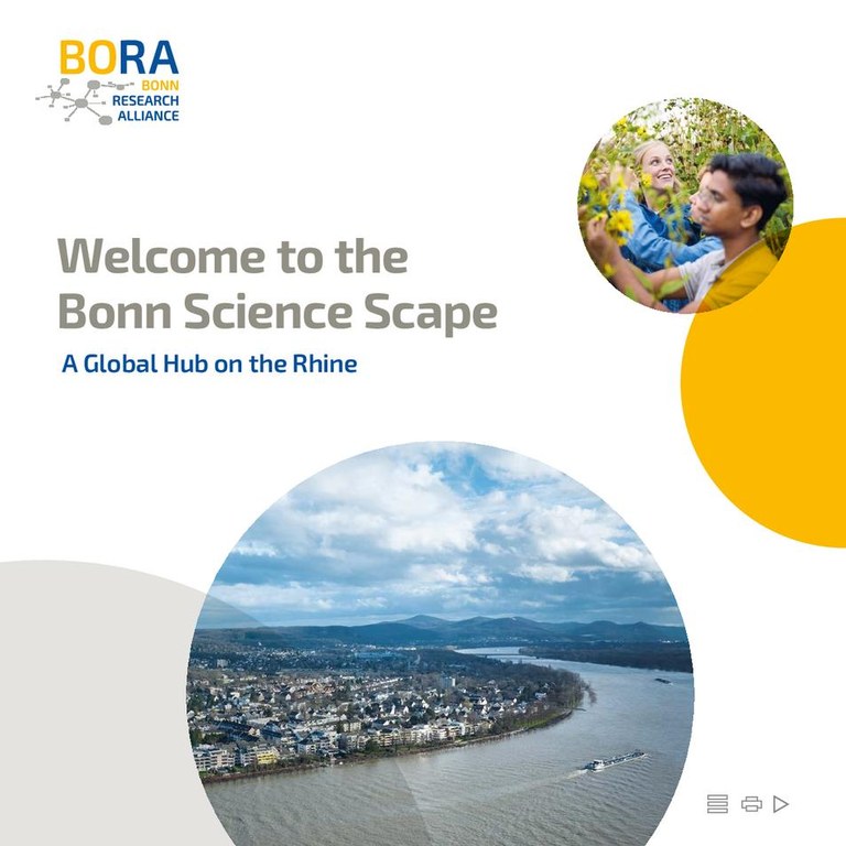 Bro. Bora.digital.pdf